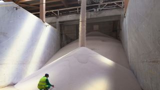 Le contexte est « absolument étouffant », appuie Benoît Piètrement, président du conseil spécialisé « grandes culture » de FranceAgriMer.